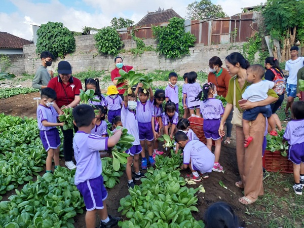 34 Orang Anak TK Swastika Belajar Edukasi Pertanian di PKT Ketahanan Pangan Nabati dan Hewani Desa Dauh Puri Kaja 