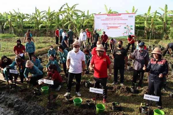 Tekan Inflasi, Walikota Jaya Negara Tanam Cabai Bantuan BI Di Subak Lungatad.