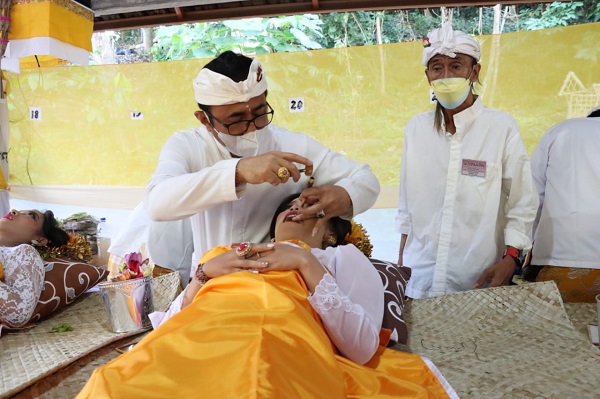 Wali Kota Jaya Negara "Ngayah" Nyangging Rangkaian Karya Atma Wedana Desa Adat Kesiman