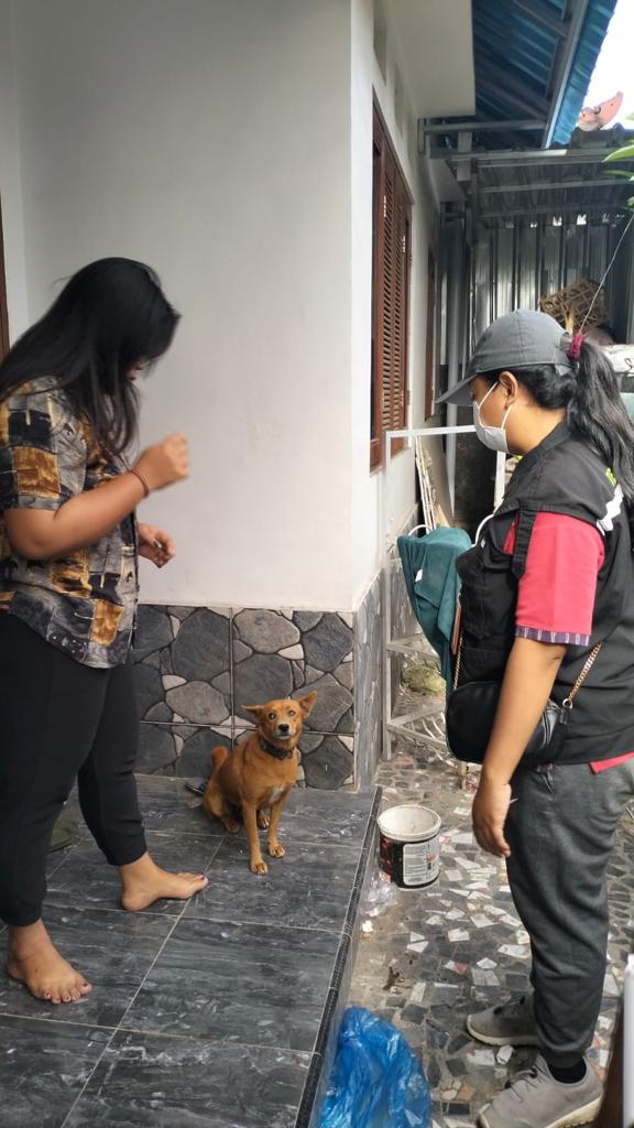 Antisipasi Penyebaran Rabies, Distan Kota Denpasar Gencar Lakukan Vaksinasi dan Sosialisasi Kepada Pemilik Anjing