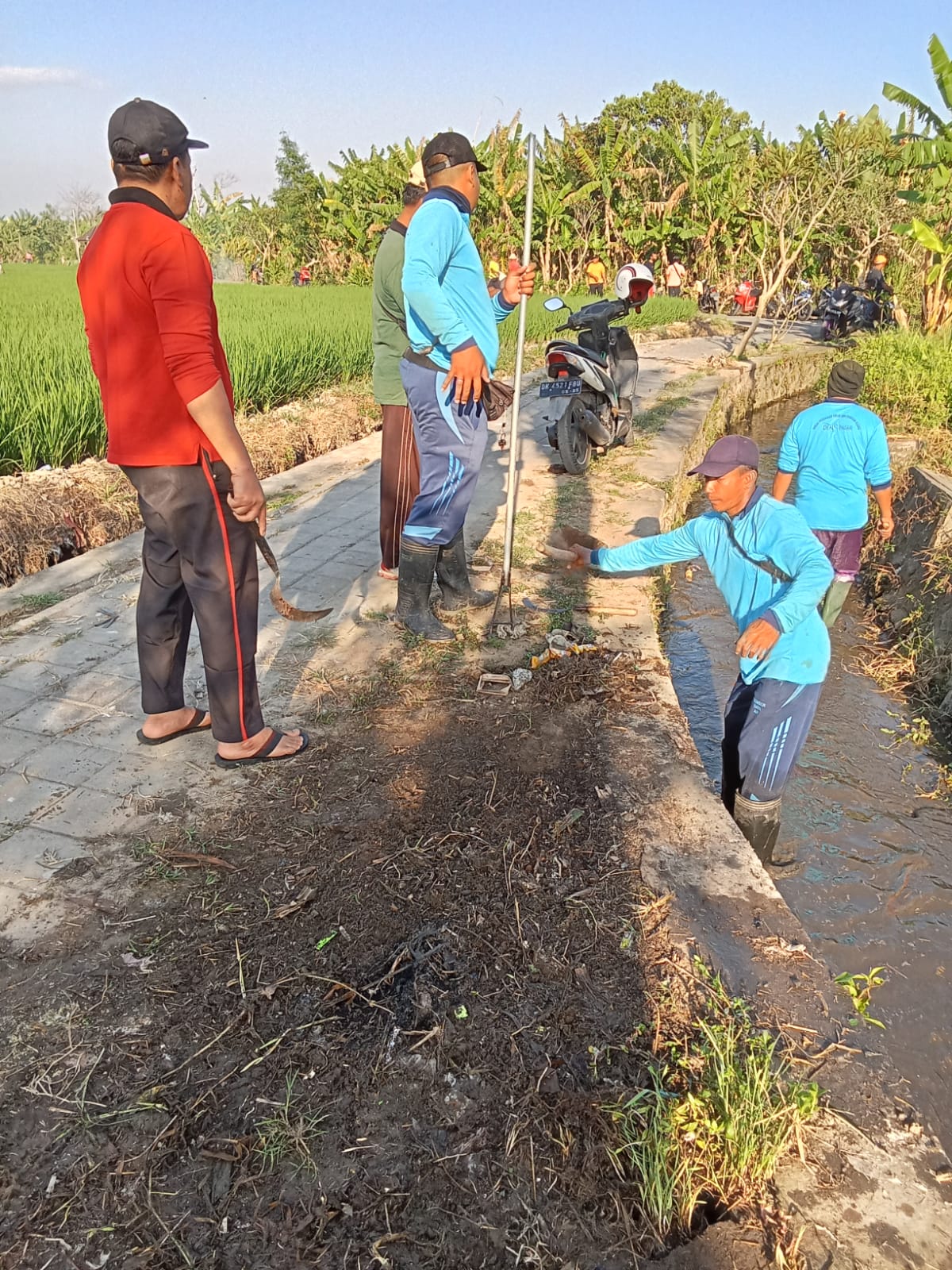 Sinergi Desa Ubung Kaja dan PUPR Denpasar Bersihkan Salurah Irigasi Subak Pakel II