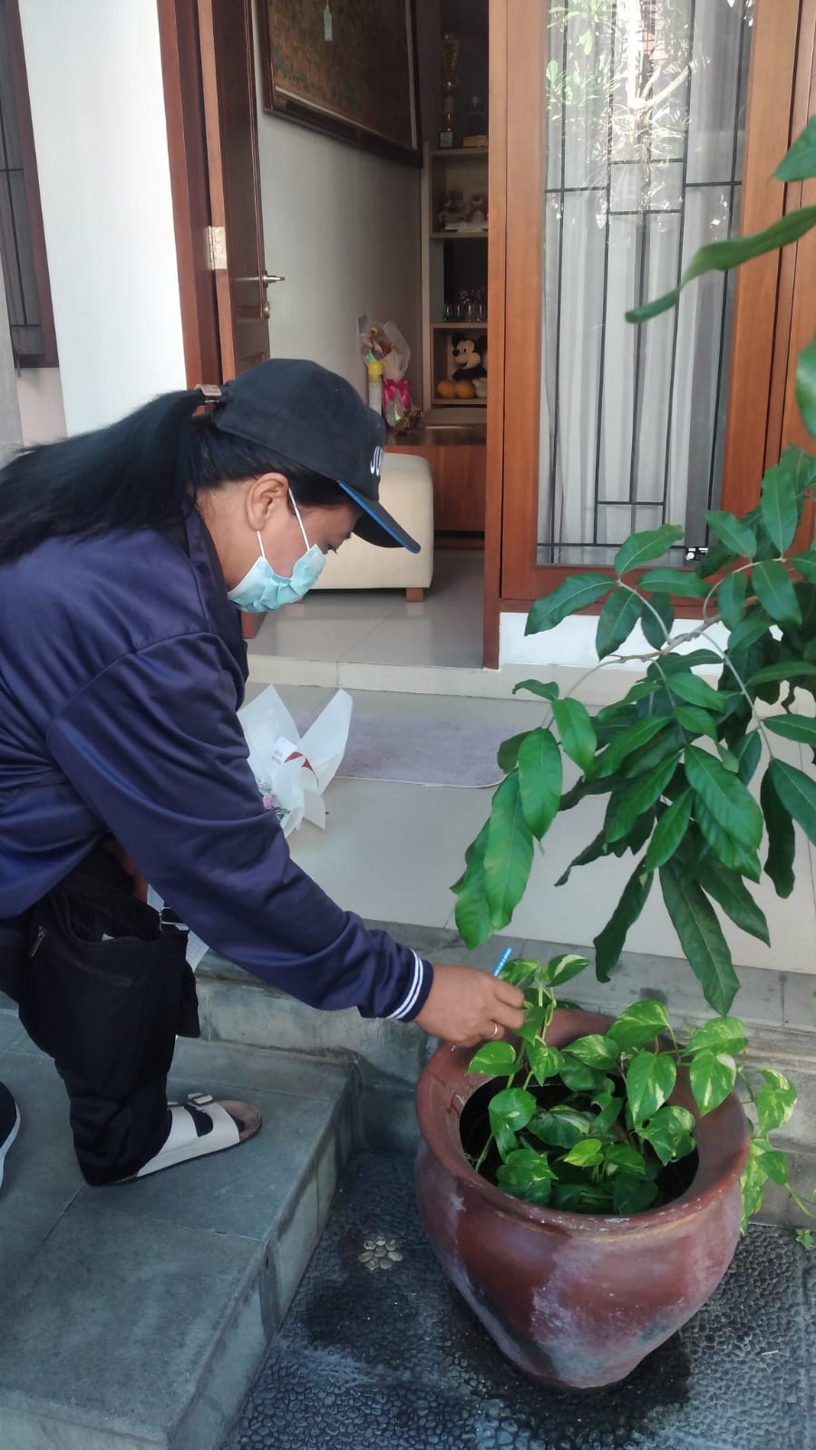 Cegah DBD, Puskesmas I Denpasar Timur Gencarkan Program PSN
