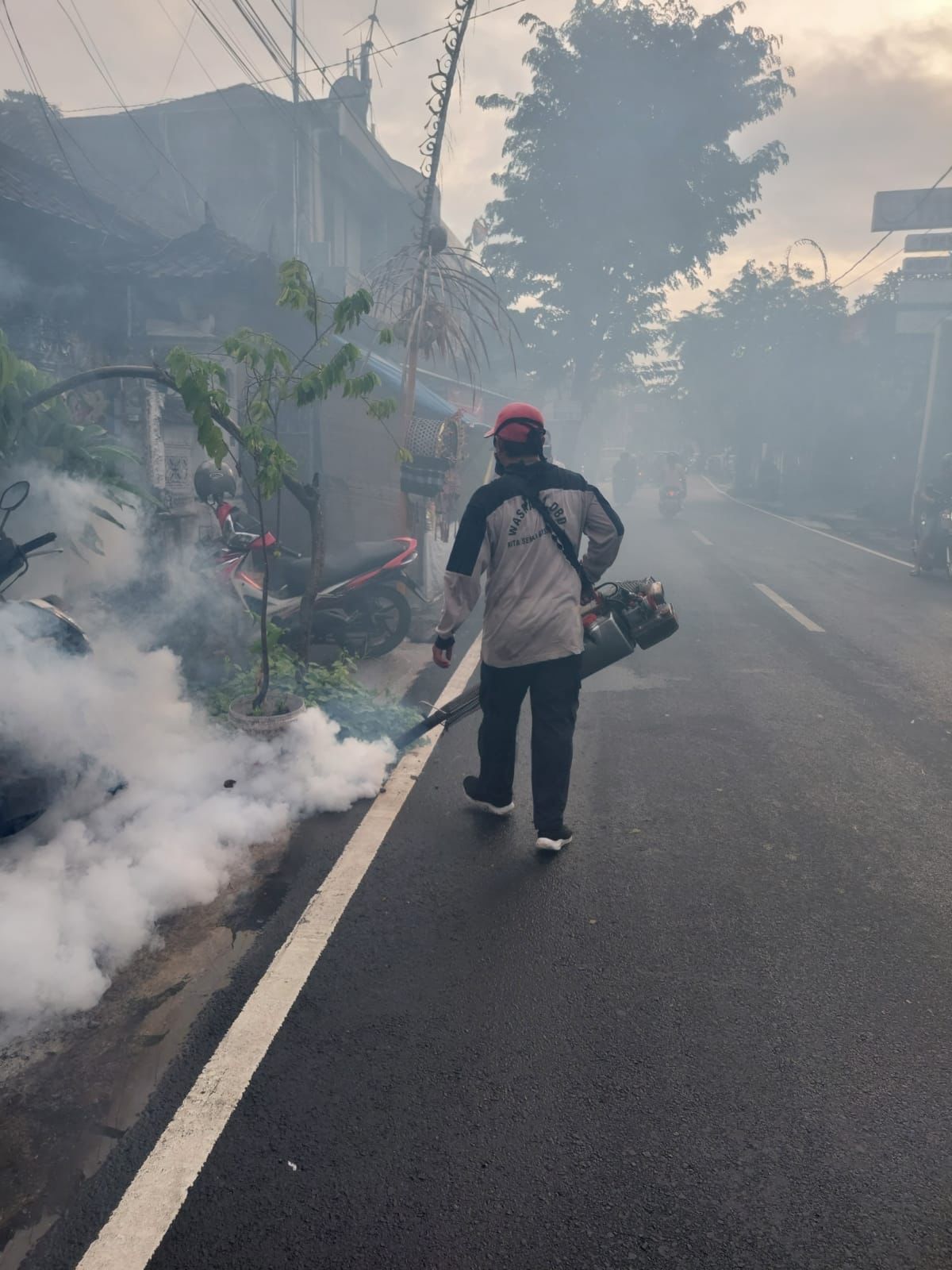 Tekan Kasus DBD Puskesmas I Denpasar Timur Lakukan Fogging Fokus