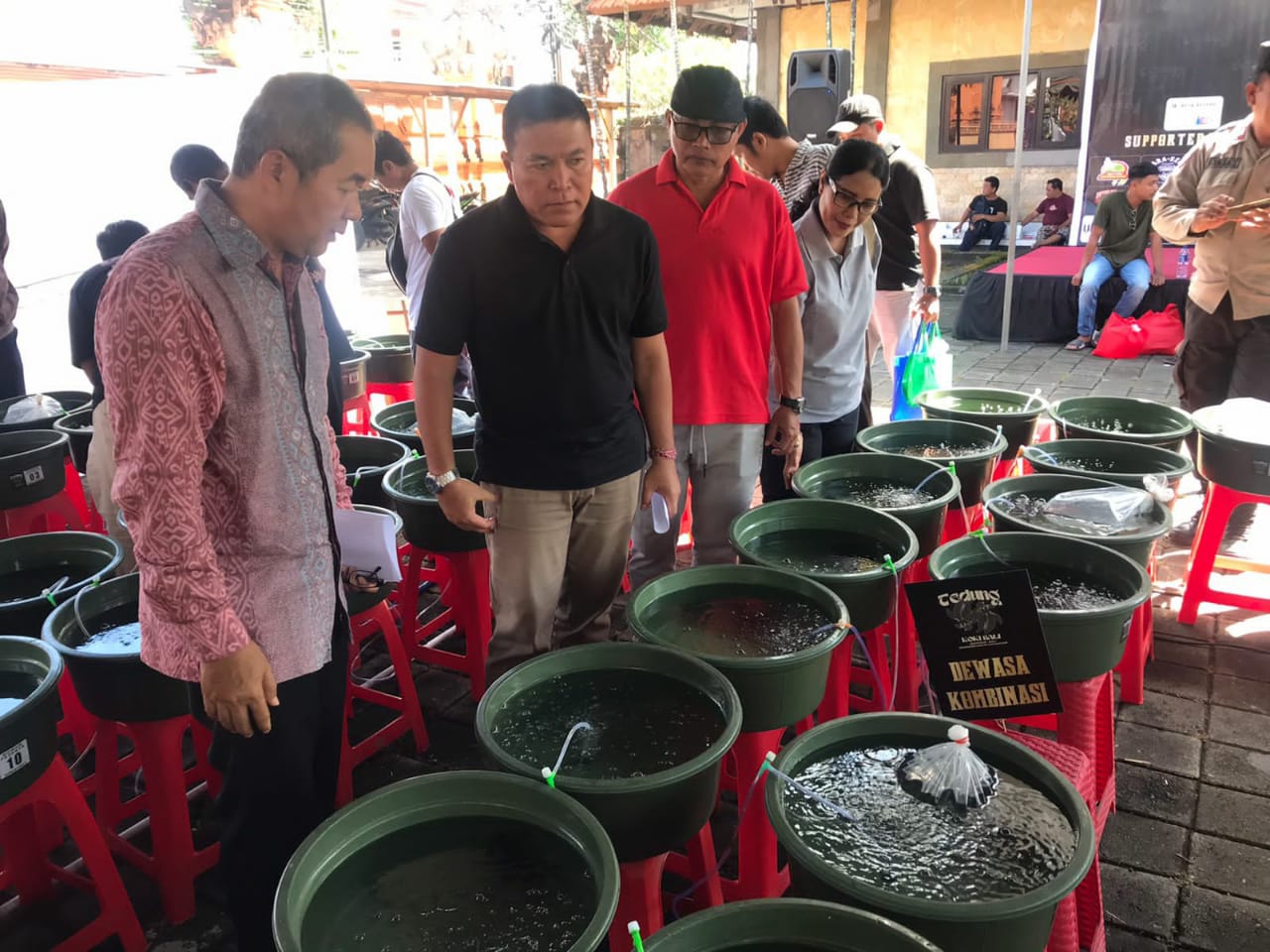 Pemkot Denpasar Dukung Pelestarian Ikan Mas Koki Bali
