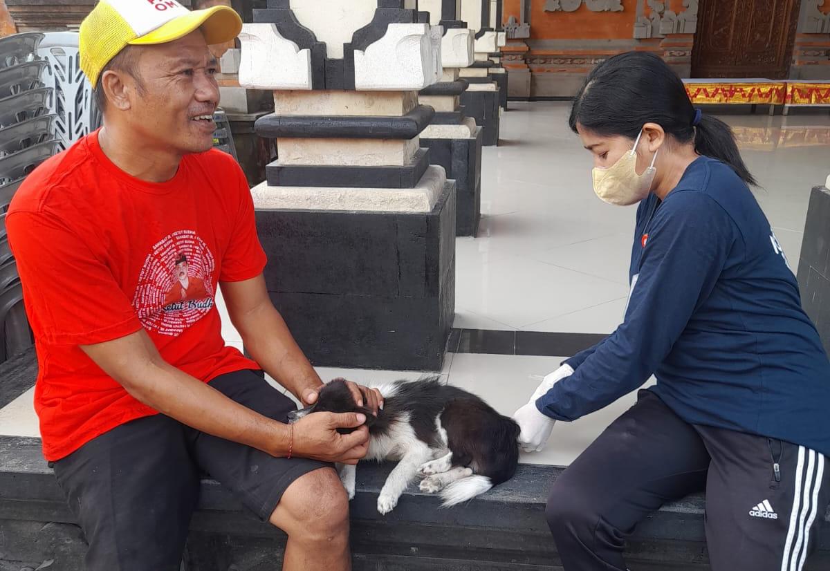 Tahun 2025, Distan Denpasar Targetkan Vaksinasi Rabies Sasar 91,13 Persen Populasi HPR