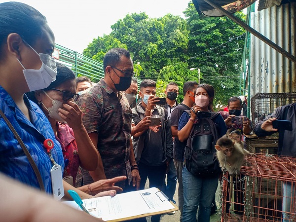 Antisipasi Penyebaran Rabies, Pemkot Denpasar Tertibkan Penjual HPR Liar